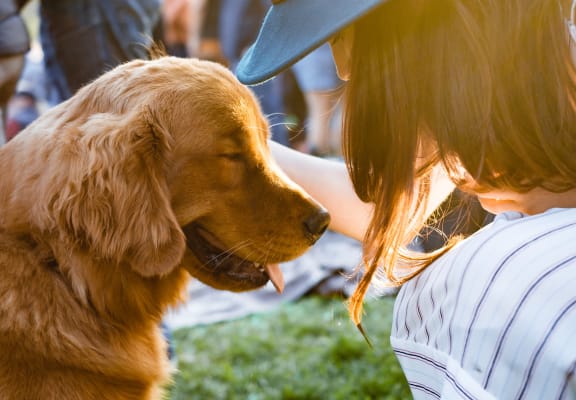 Woman in Hat Petting Dog In Crowd At Park
